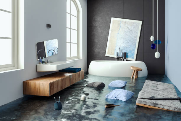 Best Water damage cleanup near me  in Niwot, CO