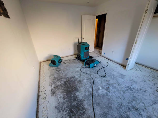 Best Water damage restoration insurance claims  in Niwot, CO