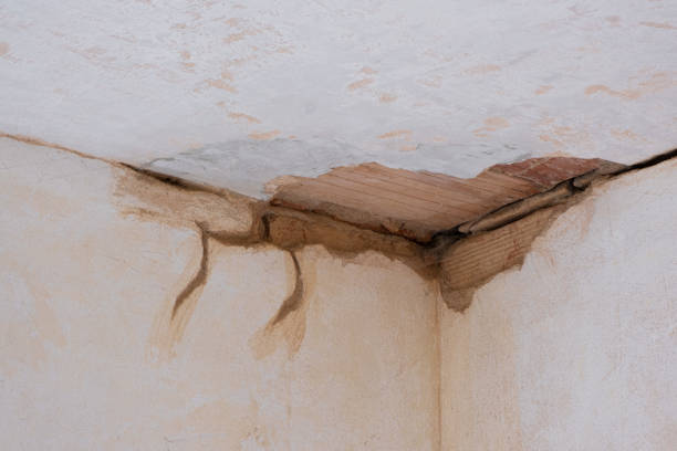 Water damage restoration insurance claims in Niwot, CO