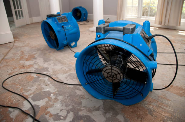 Niwot, CO Water damage restoration Company